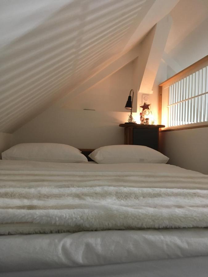 Logement Climatise Erdre Riviere 爱尔德河畔拉夏贝尔 外观 照片